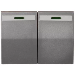 Выключатель СВЕТОЗАР "ЭФФЕКТ" двухклавишный, с эффектом свечения, без вставки и рамки, светло-серый металлик, 10A/~250B SV-54435-SM