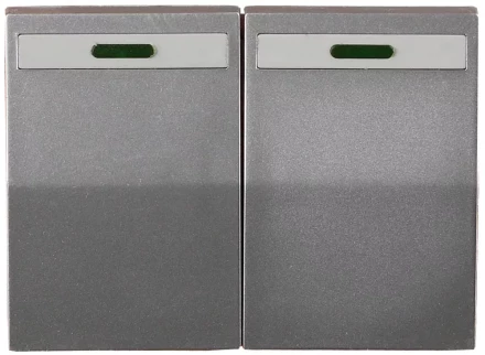 Выключатель СВЕТОЗАР "ЭФФЕКТ" двухклавишный, с эффектом свечения, без вставки и рамки, светло-серый металлик, 10A/~250B SV-54435-SM купить в Уфе