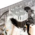 Компрессор масляный Denzel DR5500/300 ременный 58069 купить в Уфе