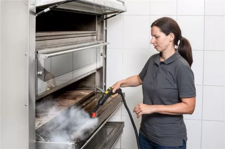 Пароочиститель KARCHER SG 4/4 профи купить в Уфе