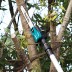 Аккумуляторная 40v XGT цепная пила с телескопической штангой Makita UA004GZ (без АКБ и ЗУ) купить в Уфе