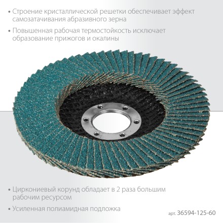 Круги лепестковые циркониевые торцевые 36594-125-60 купить в Уфе