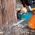 Аккумуляторная цепная пила 40v, шина 40см, регул. без ключа Makita UC016GZ01 (без АКБ и ЗУ) купить в Уфе