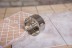 Коронка алмазная HAMMER Ф82мм HEX(DHS82.0*65/5) купить в Уфе