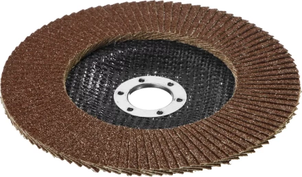 Круг шлифовальный STAYER &quot;PROFI&quot; лепестковый торцевой, зерно-электрокорунд нормальный, тип КЛТ 1, P60, 125х22,2мм 36581-125-060 купить в Уфе