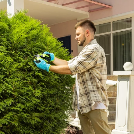 Секатор с наковальней Palisad, 190 мм, пластиковые рукоятки 60454 купить в Уфе