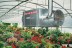Подвесной дизельный теплогенератор BALLU FARM 65 M oil купить в Уфе