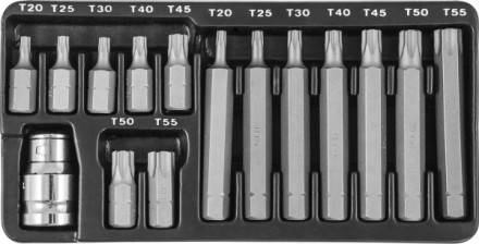Набор вставок-бит 30 и 75 мм Torx T20-T55 15 предметов S29Н4215 S Jonnesway 47397 купить в Уфе
