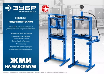 ЗУБР ПГН-10, 10 т, гидравлический пресс с гидронасосом и манометром, Профессионал (43072-10) купить в Уфе