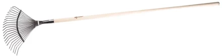 Грабли ЗУБР &quot;ЭКСПЕРТ&quot; веерные из нержавеющей стали, деревянный черенок из ясеня, 16 круглых зубцов, 440х360х1735мм 4-39451_z01 купить в Уфе