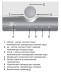 Проточный водонагреватель ELECTROLUX NPX 8 Flow Active купить в Уфе