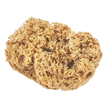 Губка натуральная для декоративных покрытий Matrix 86817 купить в Уфе