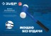 ЗУБР БМП-50, 50 мм, безынерционный молоток с полиамидными бойками, Профессионал (2043-50) купить в Уфе