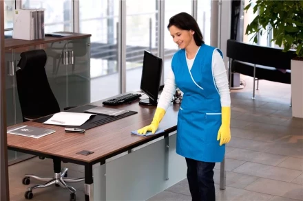 Средство для чистки поверхностей CA 30 C 1 л KARCHER купить в Уфе