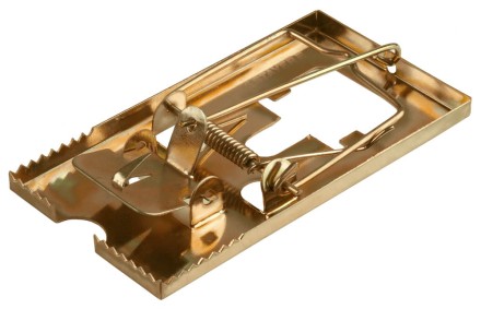 Мышеловка STAYER &quot;MASTER&quot;, металлическое основание, малая 40490-S купить в Уфе