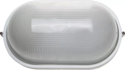 Светильник уличный СВЕТОЗАР влагозащищенный, овал, цвет белый, 100Вт SV-57203-W купить в Уфе